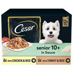 CESAR Mixed Selection Senior Wet Dog Food in Sauce